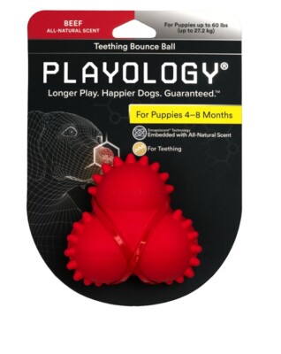 Playology Natural Beef Flavor Squeaky Teething Bounce Ball Dog Puppies Toy