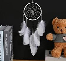 Dream Catcher Room Wall Hanging Decor with LED Light Colorful White Feather