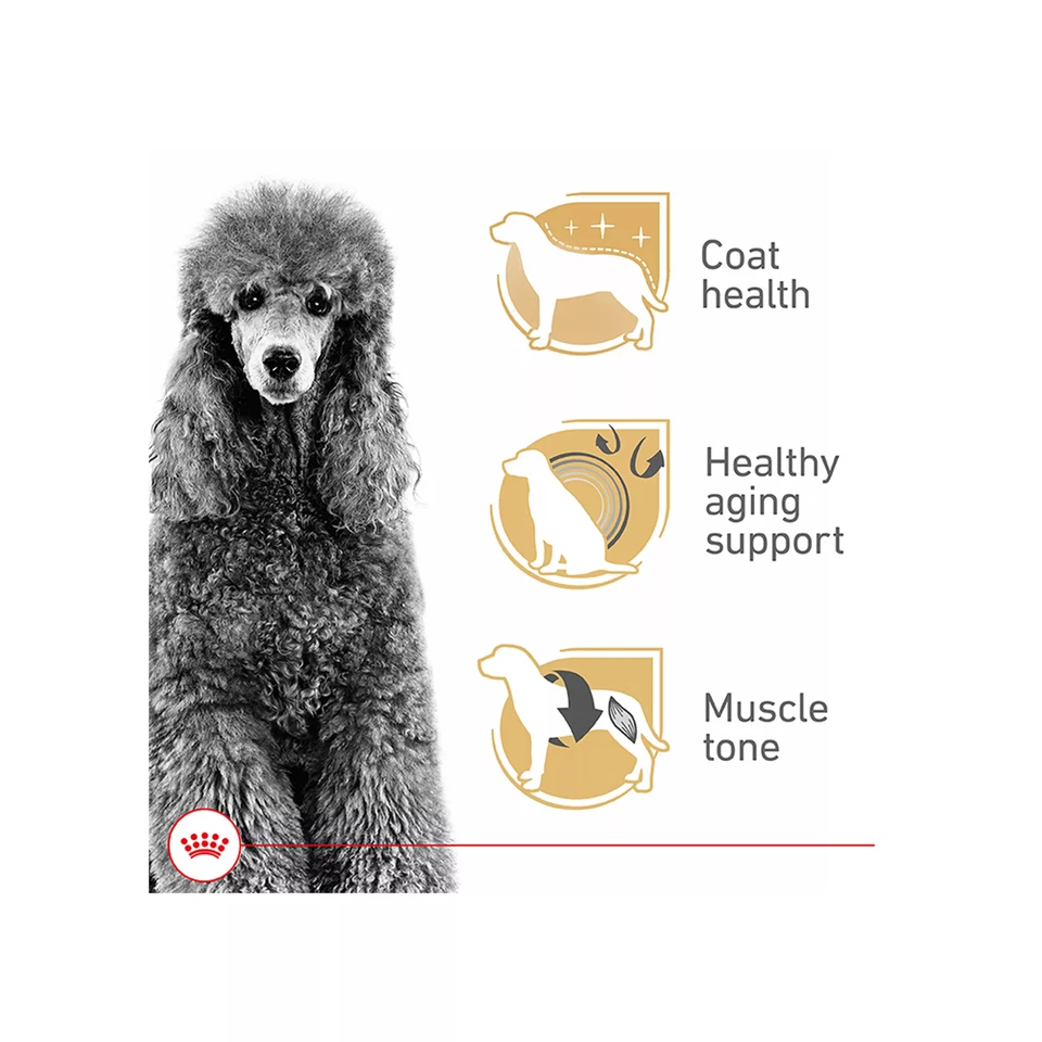 Royal Canin Breed Health Nutrition Poodle Adult Dry Dog Food, 10 lb Bag - Image 3 of 4