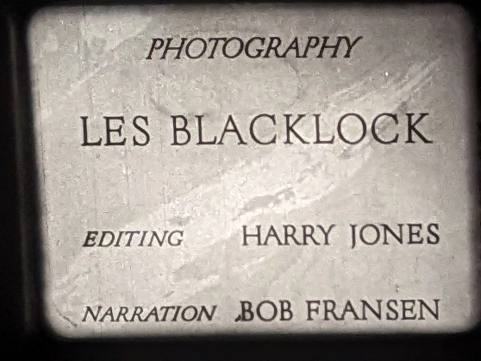 16mm film, Stalking the Royale Moose (1950) interesting, fun, arty, rare short Foto 3 de 4