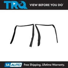 TRQ Window Glass Run Channel Rear Fits Buick Chevrolet Oldsmobile Pontiac