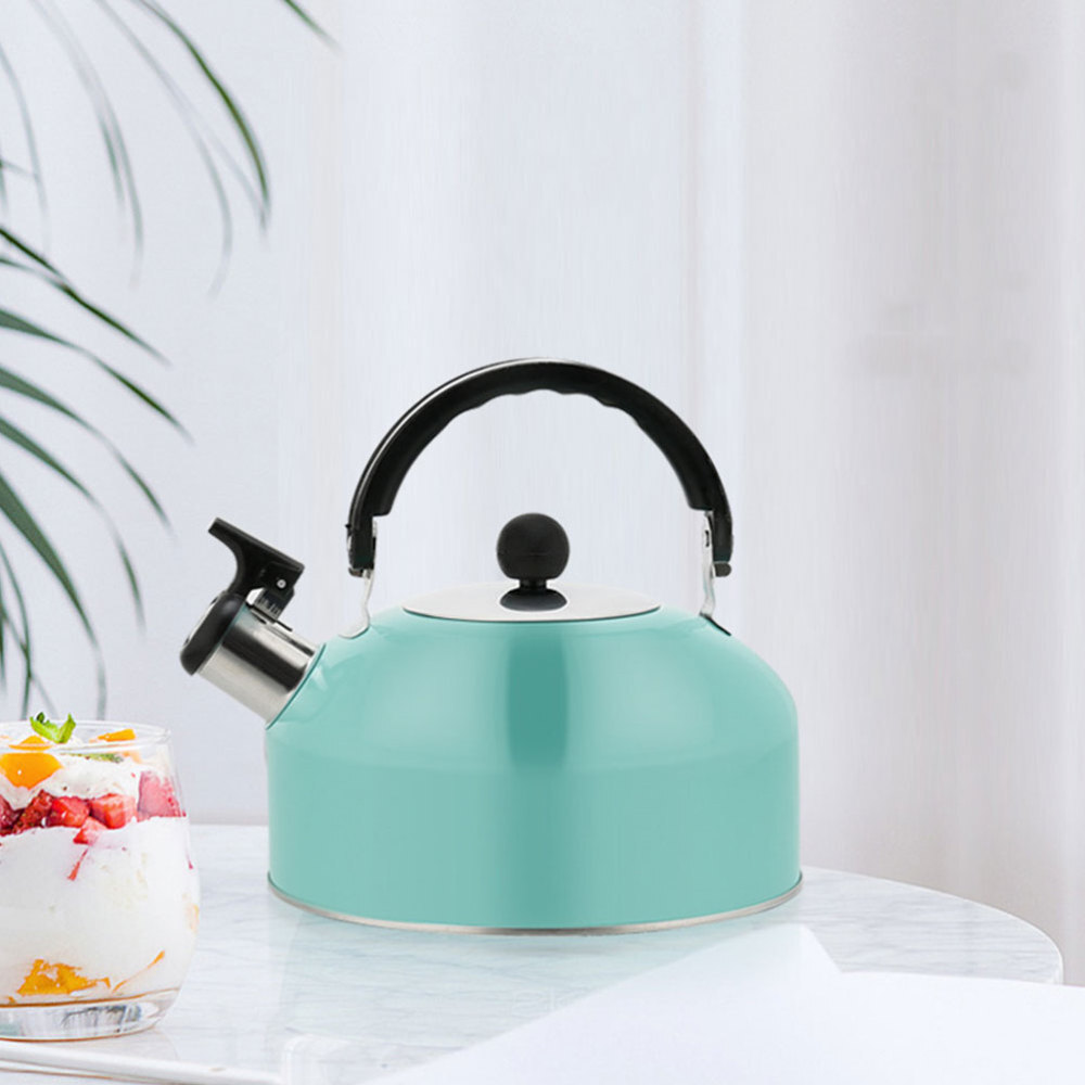 Electric Kettle Teal Stove Top Kettle Coffee Flintshire Quart