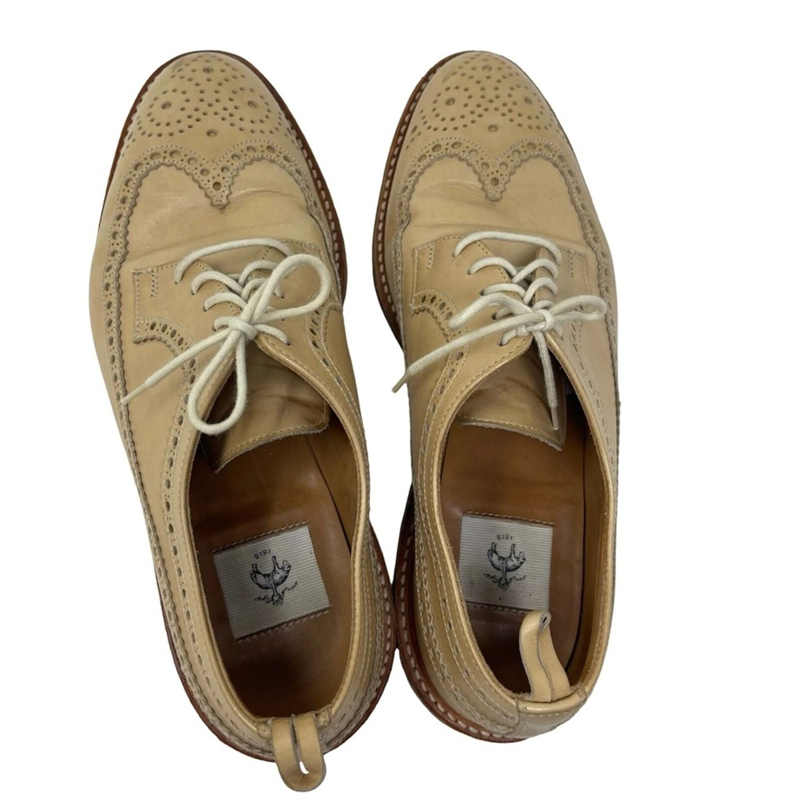 THOM BROWNE Brooks Brothers pile nero Thom sopracciglia beige marrone chiaro con lacci Oxford taglia 8