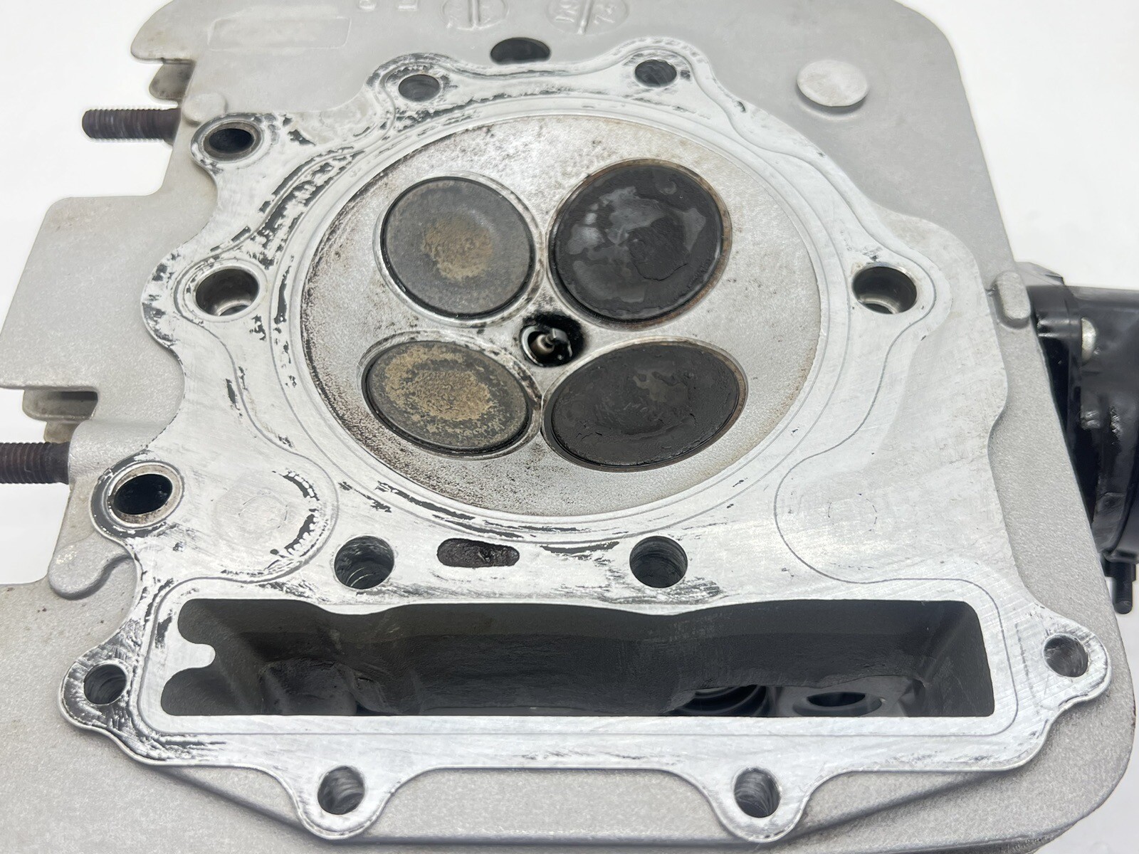 2008 Honda XR650L Cylinder Head 1993 2023 Top End Valves Springs XR