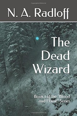 THE DEAD WIZARD: BOOK 1 OF THE ''BLOOD AND FLAME'' SERIES By N. A. Radloff **NEW**