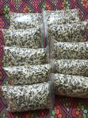 Pure Moringa Oleifera Seeds - Raw, Non-GMO, Edible Drumstick Seeds From India