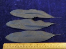 Vintage Millinery Flower Leaf Collection 7 1/2" Black 3 stems in Bunch Y295