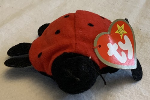 TY Teenie Beanie Baby - Lucky The Ladybug MWMT - Imagen 5 de 5