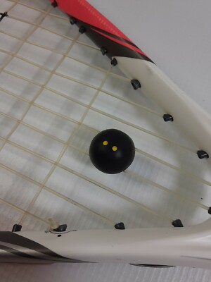 Raquette De Squash Dunlop Biomimetic Evolution 120 – Graphite – Non Cordée (Neuf, Défaut Mineur)