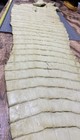 Genuine Alligator Tail And Leg Professionally Tanned — photo 7