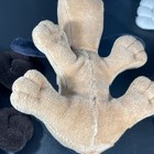 Pound Puppy Vintage Plush Lot Of 4 Tonka 1985/1986 Preowned — photo 9