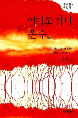 Where are You Going, Marriage Dowry? Kim Soo-hyun Script Book