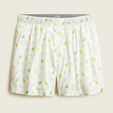 J.Crew Men's LARGE Boxers ~ Cotton ~  Pear White Multi theme ~ NWT 