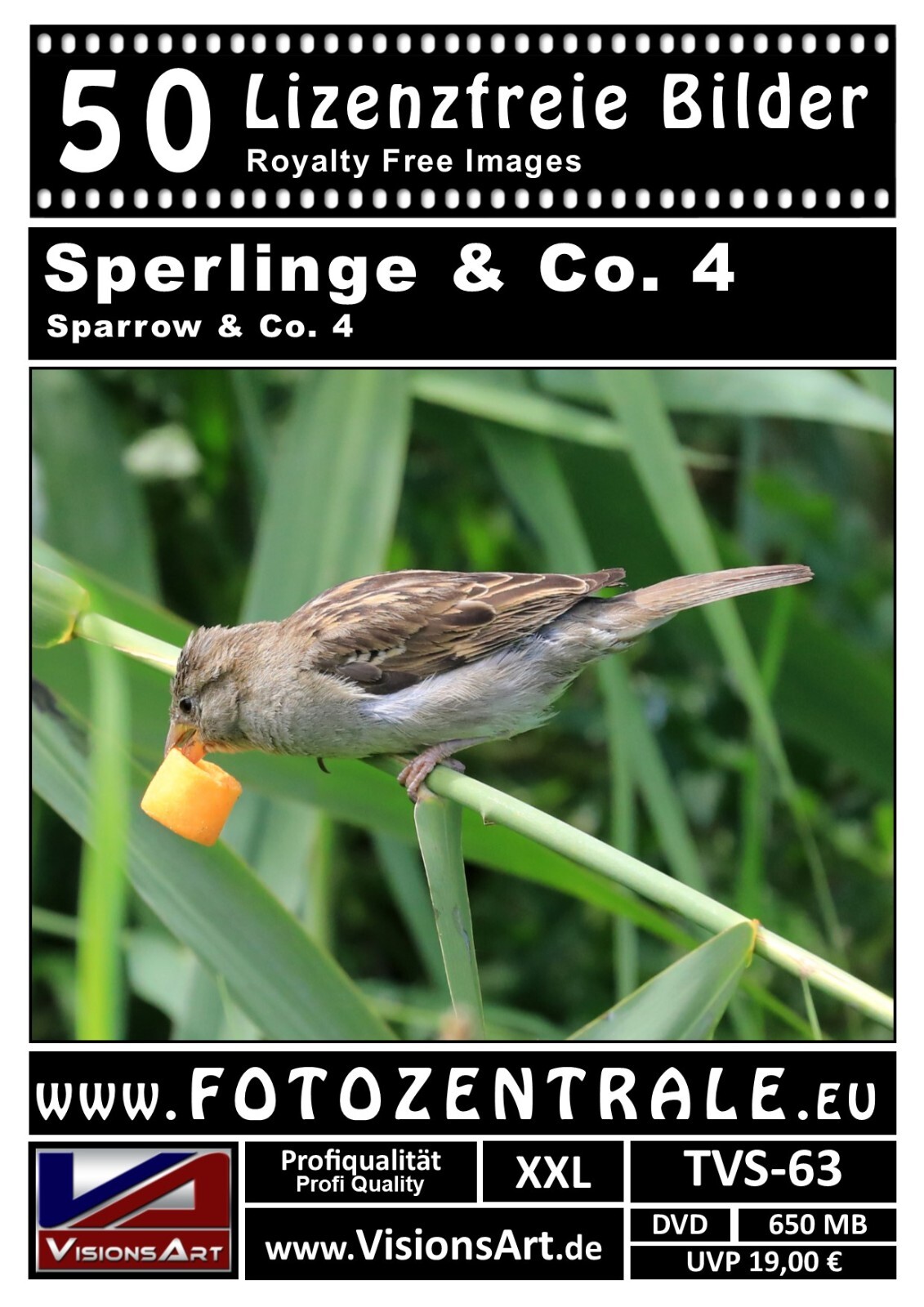 Bild 4 von 9