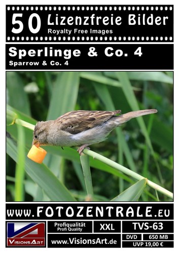 400 Lizenzfreie Profi-Bilder Fotos Sperlinge Vögel Photoshop UVP 152,- / 2 DVDs - Bild 4 von 9