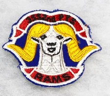 US Air Force 3552nd PTS Squadron Patch