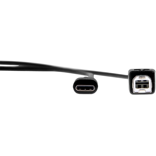 Rocstor Premium USB-C to USB-B Cable (3ft) - M/M - USB 2.0 - USB Type-C - Picture 8 of 8
