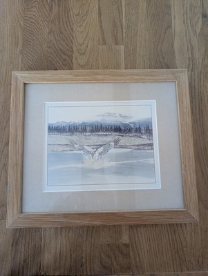 Vintage R.A. Massey signierter Farbdruck mit Falkenjagd Fisch im Fluss