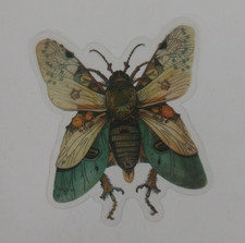 Beautiful Moth Transparent Sticker 2.5" x 2.18" K 