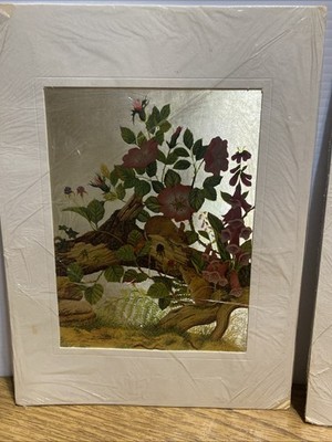 Vintage Foil Art Print Framed Picture Kingfisher By P Sturgess & Otter.PD