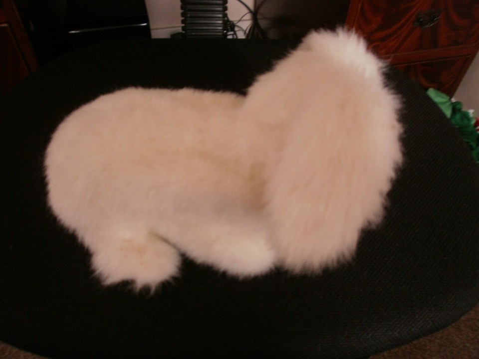 Hasbro Furreal Friends Fur Real TEACUP BUNNY rabbit interactive eBay UK(00)