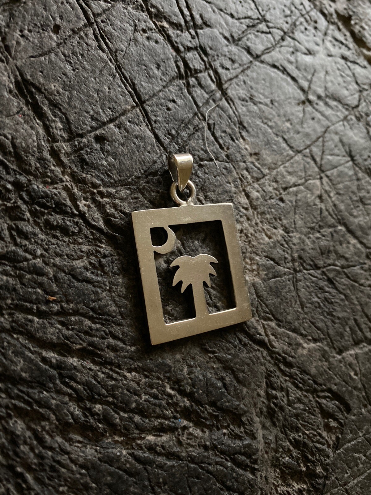 925 Sterling Silver South Carolina Symbol Pendant Gem