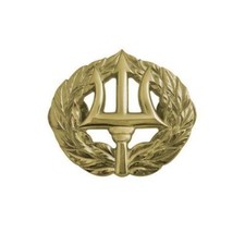 Navy Badge Command Ashore Miniature mirror finish