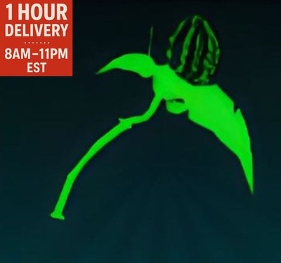   Survive the Killer   Poltergeist Scythe