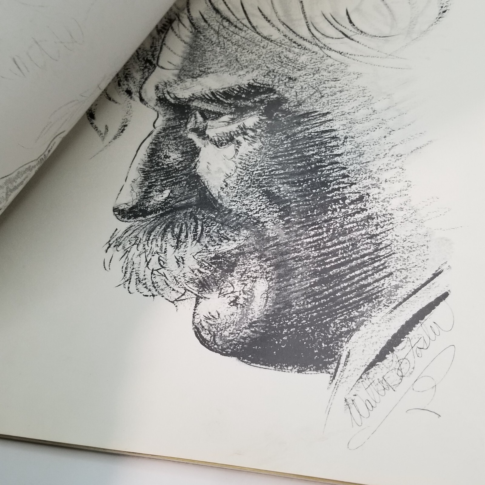 Picture 17 of 20