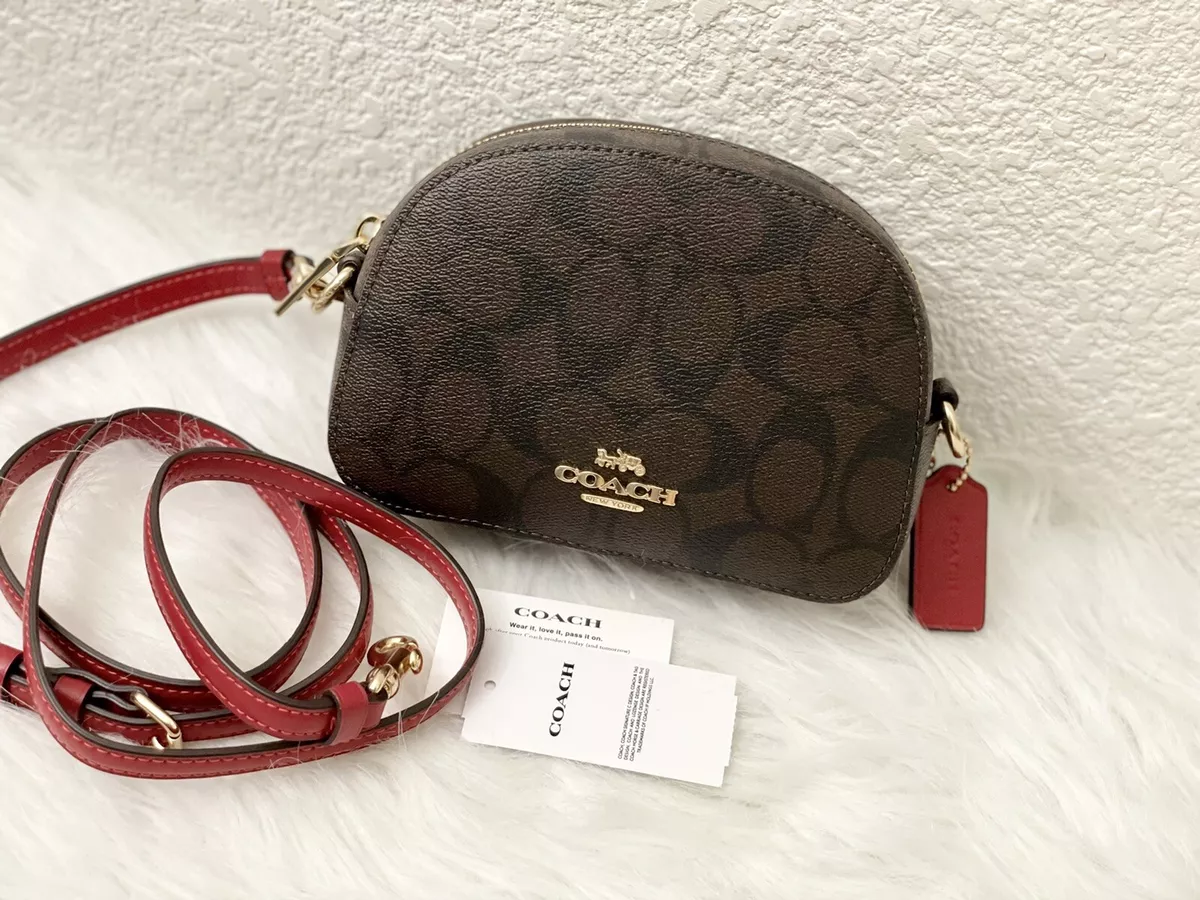 What fits in the Coach Mini Serena bag? 