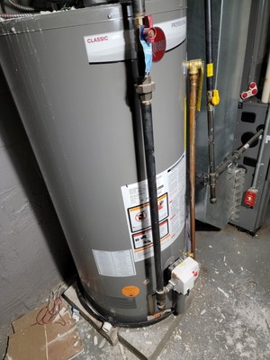 Rheem Performance 50 Gal. Tall 6 Year 42 000 BTU Power Vent Natural Gas Water  Heater for sale online | eBay