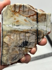 Picasso Marble (Jasper) end Slab Cabbing Lapidary Utah Combo Ship Avail