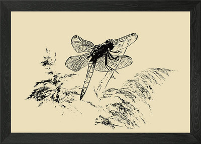 Gerahmtes Wandbild Libelle Poster Leinwanddruck Bild