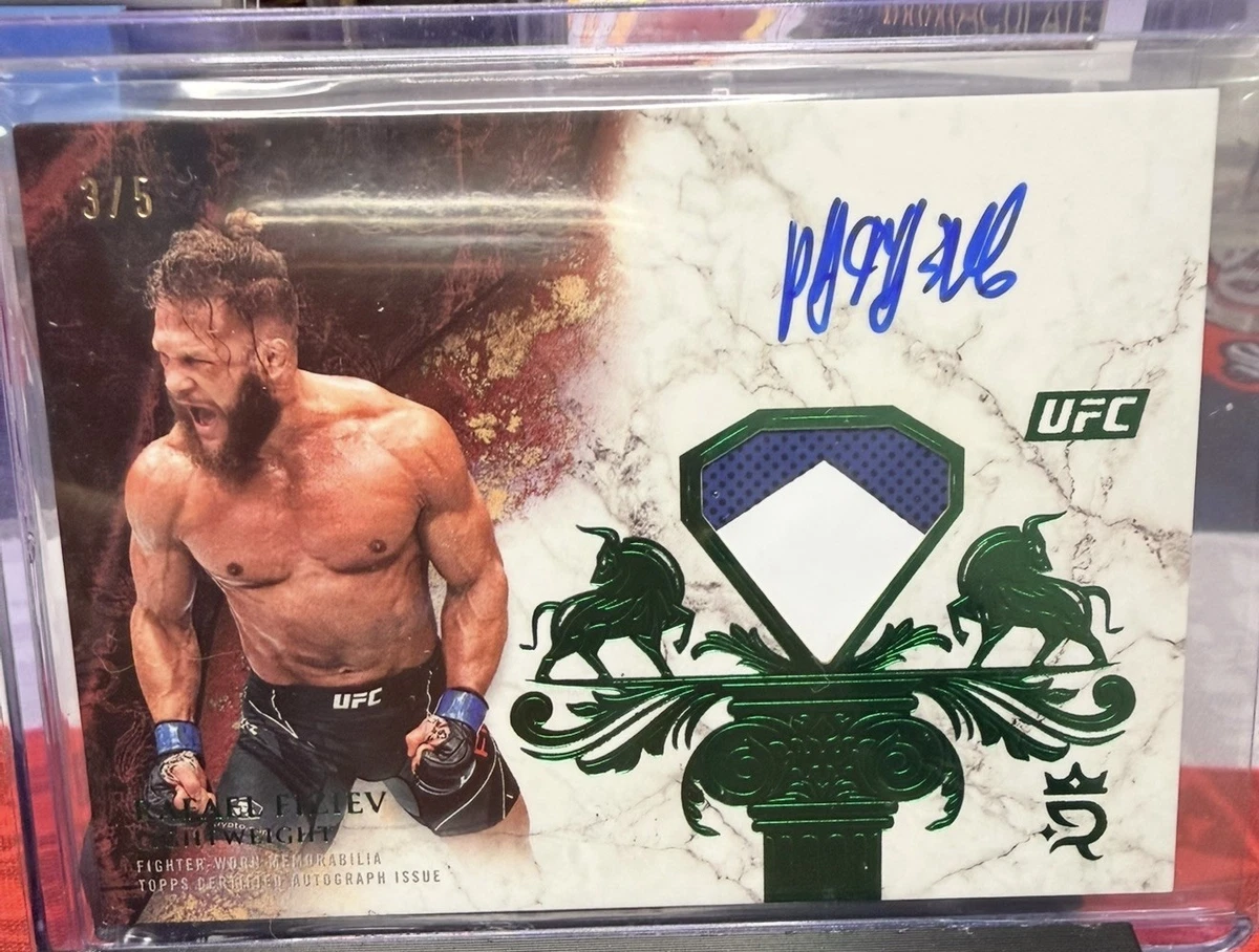 Ultimate Fighting Championship (UFC) Professional Sports