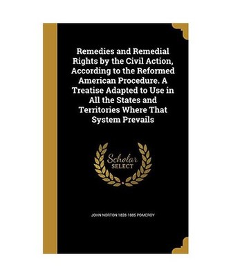 Remedies and Remedial Rights by the Civil Action, According to the Reformed Amer