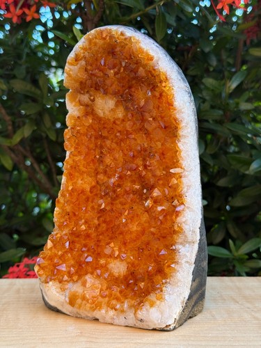 Finely Polished Citrine Clusters With Cut Base | Honey Citrine Quartz Cluster - Picture 15 of 15