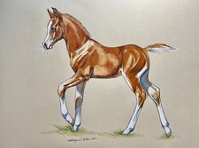 Original Art Drawing Colored Pencils Chestnut foal horse 12