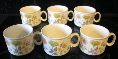 J & G MEAKIN TREND HECKENBECHER X 6