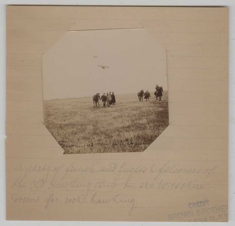 Vintage 1900-10 Wiltshire Downs Old Hawking Club Falconers & Falcon Flight Photo
