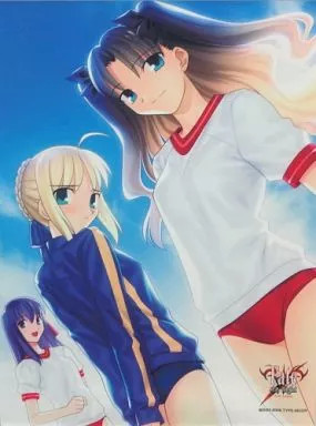 Toranoana Fate stay night Saber Rin Sakura Poster Tapestry A2 Type Moon