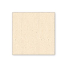 Wood Square Cutout Unfinished Baltic Birch Blank for DIY Crafts