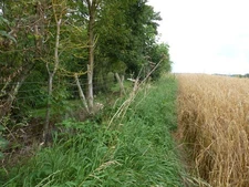 Photo A2 Footpath alongside Homend Stretton Grandison  c2012