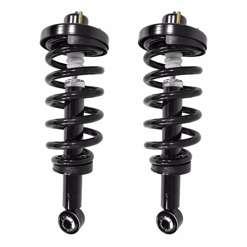 Rear Pair Quick Complete Strut & Spring Assemblies for 2007-2022 Ford Expedition Foto 2 de 4