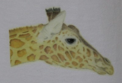 Giraffe T-Shirts Kinder und Erwachsene Größen 3 einzigartige gezeichnete Designs