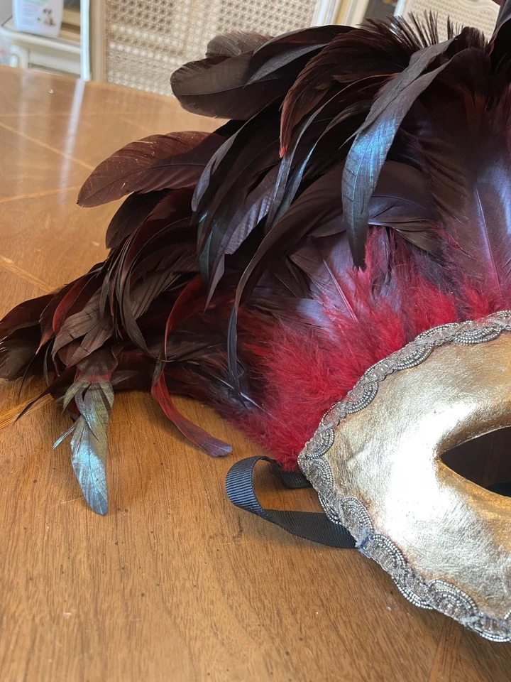 CIRQUE DU SOLEIL HERMOSA MÁSCARA, PLUMAS NATURALES. Hecho en Italia Foto 3 de 4