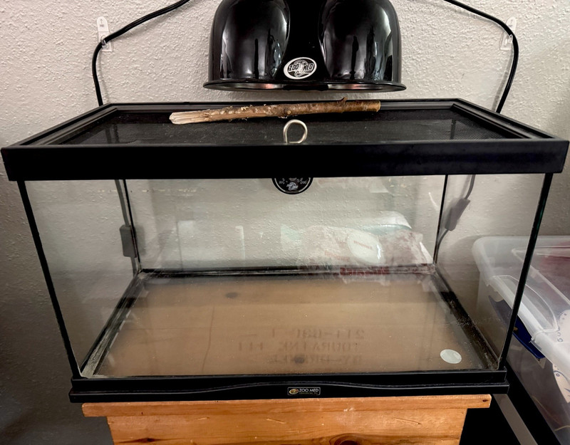 Zoo Med ReptiBreeze Terrarium w/ Screen Lid & Dual Dome Light Fixture