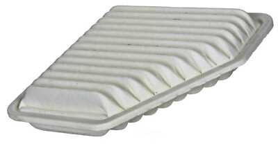 Air Filter Pentius PAB10169