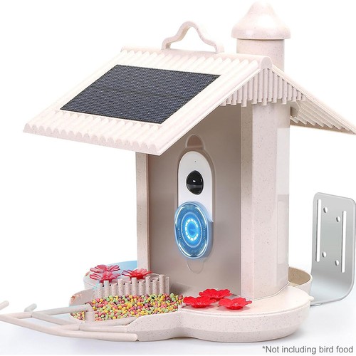WIFI 1080P caméra d'alimentation intelligente pour oiseaux capture automatique notification en temps réel B1J1