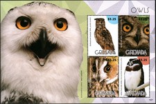 Hoja de estampillas de búhos de Granada 2015 MNH #30655