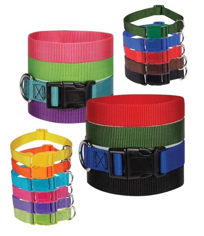 Cheap dog top collars in bulk